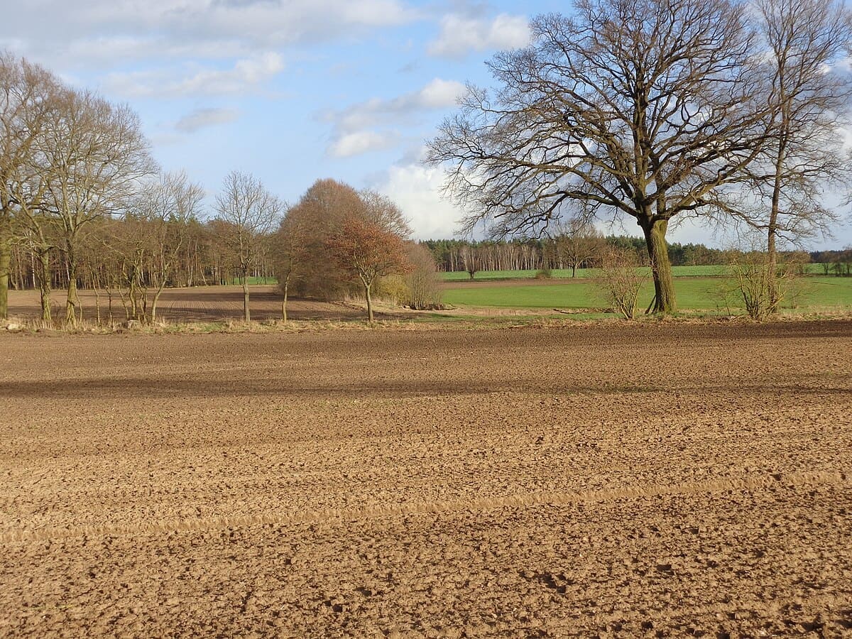 Reisegebiet Prignitz